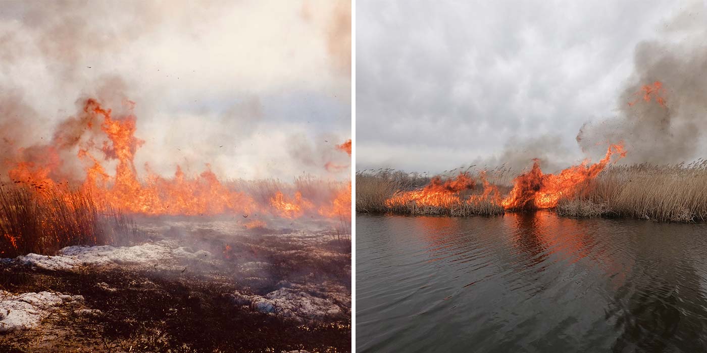 2022: Effective spring burn in the Saskatchewan River Delta.